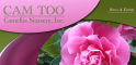 Cam Too -- Camellia Nursery Inc 